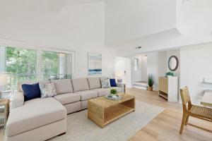Sea Colony 52009