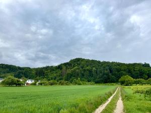 SoloStudio - Ferienwohnung mit Parkplatz bei Radolfzell am Bodensee