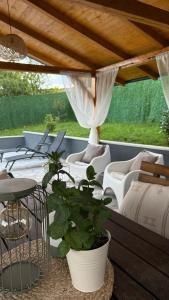 Luxury house Nena Fruška gora - kuća za odmor