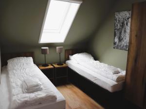 Two adjacent luxury villas in Friesland