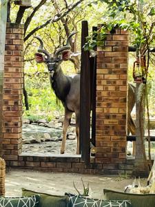 Kruger Afrique Lodge