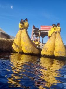 Suma Kusi en el Titicaca