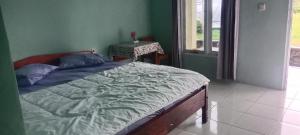 Rice field guest house