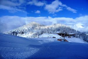 Hotels Chalet Hotel du Bois : photos des chambres