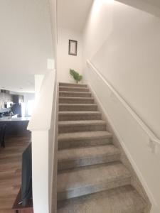 Edmonton Spacious