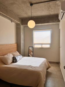 Japanese Zen 1 BDR apartment in Downtown Monterrey