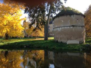B&B / Chambres d'hotes Chateau de Bresse sur Grosne : photos des chambres