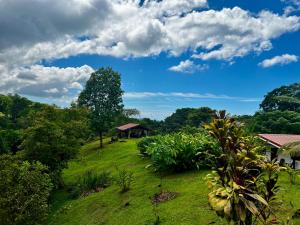 Ojo del Fénix Rainforest Resort