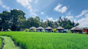 Eco Oasis Wooden Villa Ubud