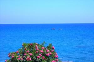 Antonios Apartments Stegna