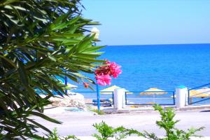 Antonios Apartments Stegna