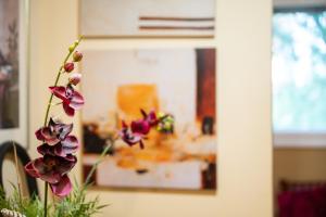 Apartment Ljiljana across from the Fountain - New Belgrade