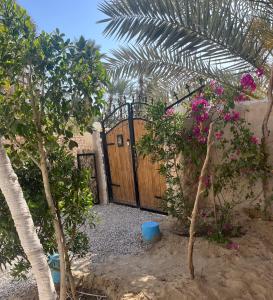 Siwa Spot - Traditional Siwan Room with Patio