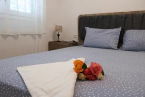Anchorage Apartment in Rachoni