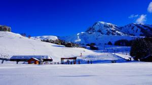 Appart'hotels Residence Goelia Les Chalets des Ecourts : photos des chambres