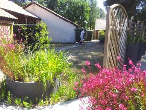 Villages vacances Village Club Dunea : photos des chambres