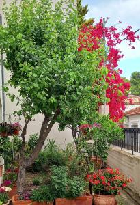 Villa Malena Volos Alykes beach