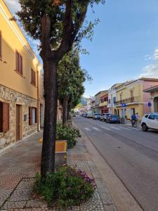 Casa Olive img26