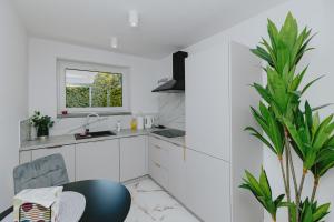 Nowoczesne Apartamenty typu Superior - Bulwary Rabka Zdrój - Balia - Blisko Park Zdrojowy