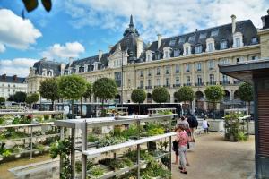 T2 calme et lumineux , Hypercentre Rennes