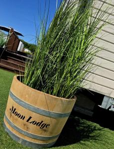 Moon Lodge