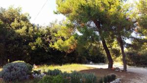 Studio Apartments Marica