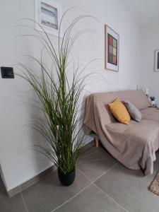 Elegance Apartments Mesologgi