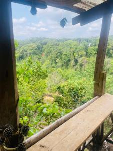 Homestay Vườn Cam