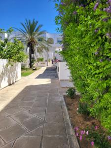 Duplex el 3ebdelleyya en face tennis club la marsa