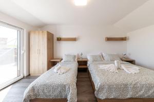 APARTMÁNY - Archivní sklep