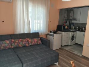 Mavi Ev