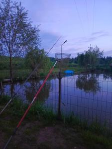 Przystanek Natura