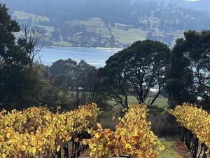 The Tamar Ridge Lookout at Tamar Ridge Apartments