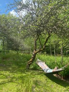 Villa Apple Garden