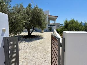 The Izi House