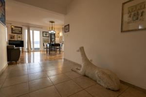 Beach state of art, Balica Rat