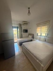 Lola rooms