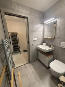 Apartmán Jizerský Klid