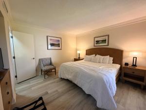 Luxury 1BR Condo Near Palm Harbor Beach – Sleeps 4, Gated Community
