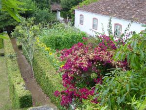 Double or Twin Room room in Quinta Do Martelo