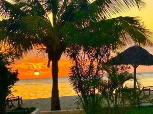 Ocean View Luxury Suite Zanzibar Pool and Beachfront