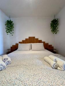 Dimaro Apartment
