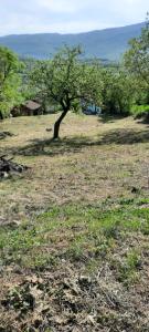 Planinsko Seosko Domacinstvo