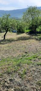 Planinsko Seosko Domacinstvo