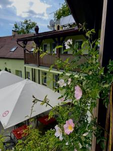 Hotel Marislav