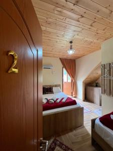 Guest House Shtëpiza Theth