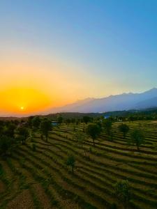 Aahista Stays- Mountain view homestay