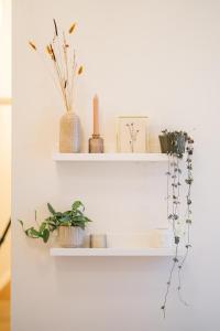Your wellness Sanctuary - Private sauna and gym