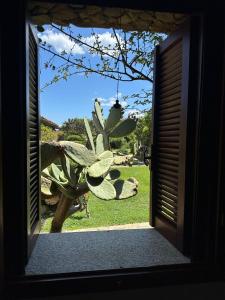 Residenze Coda Cavallo - Cala Paradiso