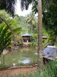 Farm House Villa